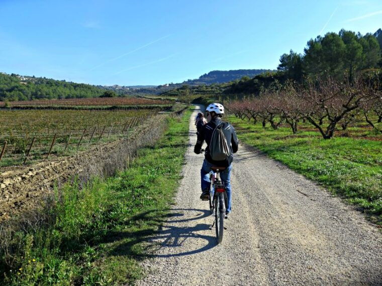 barcelona-guided-half-day-wine-and-electric-bike-tour