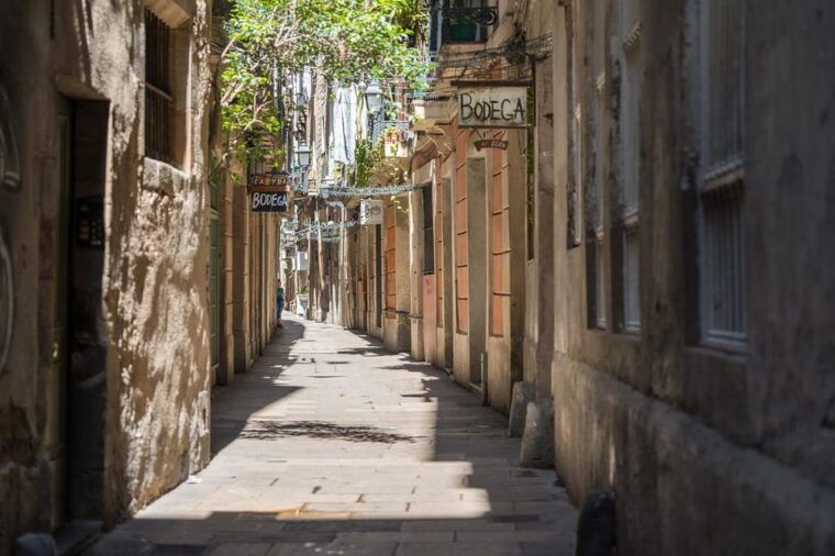 barcelona-guided-tour-in-french