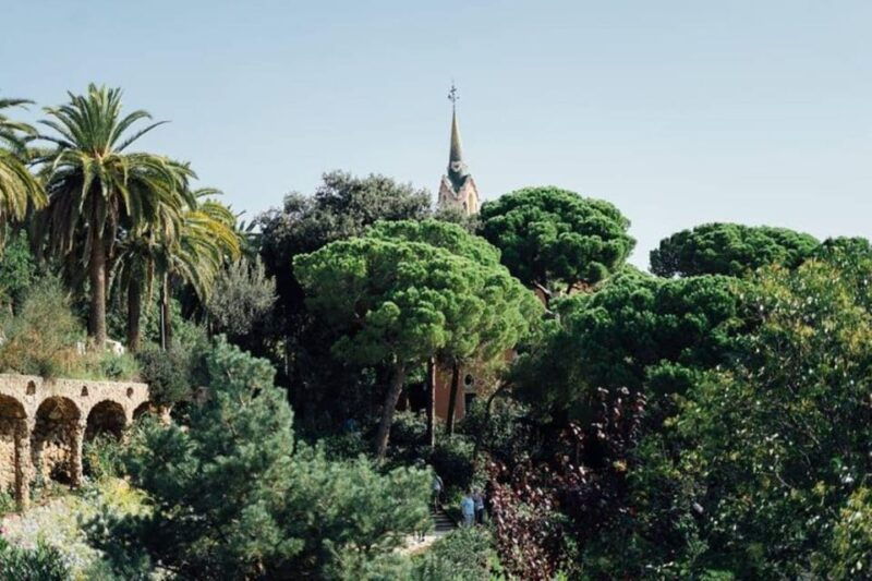 barcelona-half-day-private-tour-with-driver