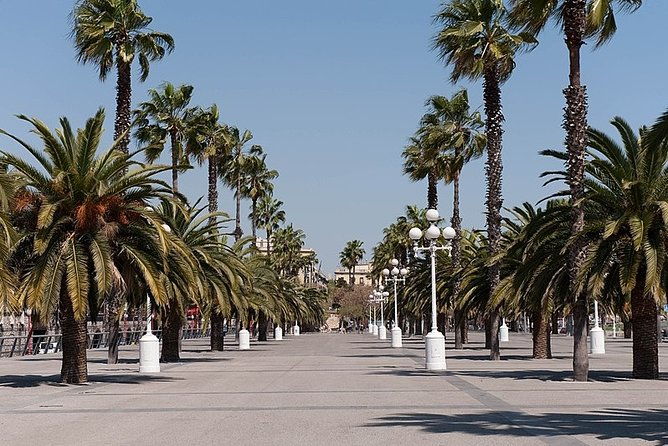 barcelona-half-day-sightseeing-private-tour