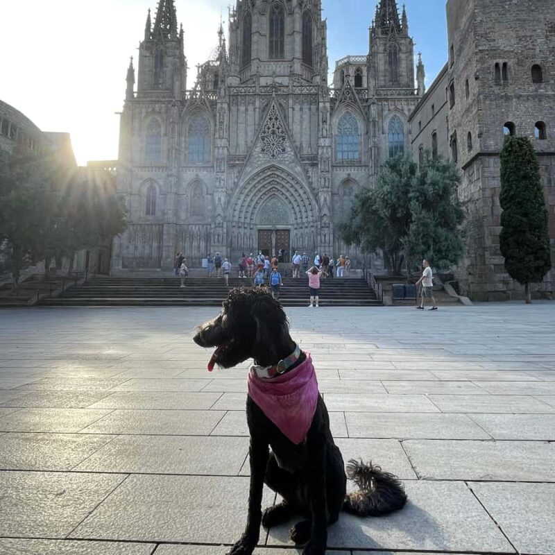 Barcelona: Hidden Gems Walking Tour with a Local & Dog - Final Thoughts