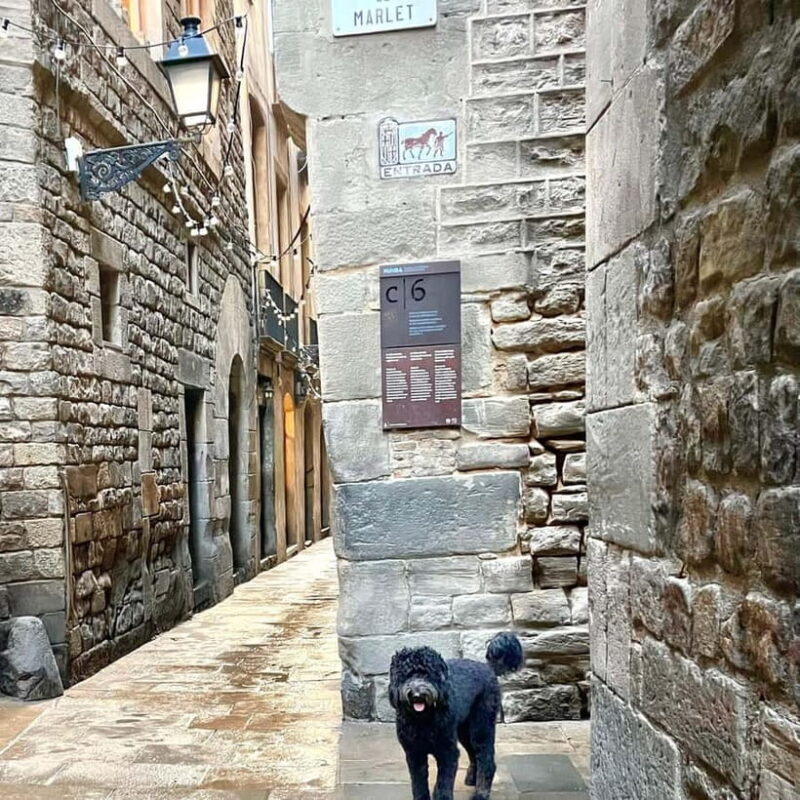 Barcelona: Hidden Gems Walking Tour with a Local & Dog - FAQ