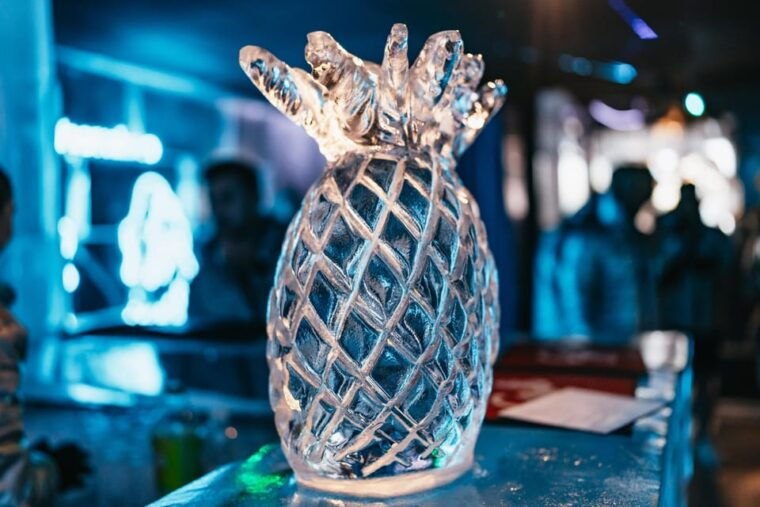 barcelona-ice-bar-experience-entry-ticket-with-1-drink
