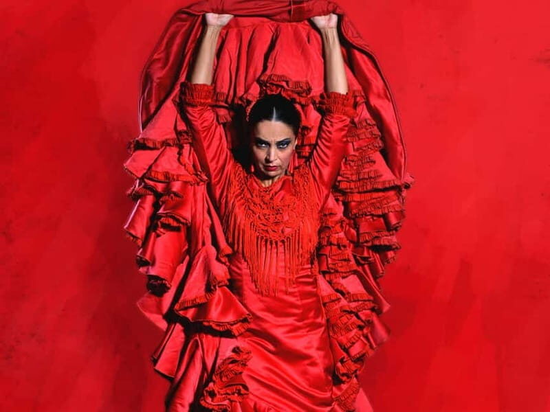 Barcelona: "Inspiration" Live Flamenco Show - The Experience in Detail