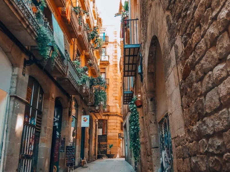 Barcelona: Introduction to the Gothic Quarter Walking Tour - What to Expect from the Gothic Quarter Walking Tour