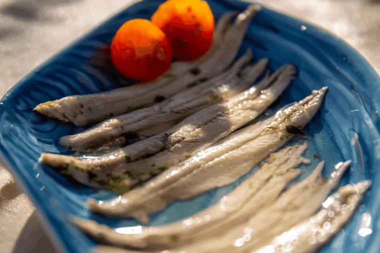 barcelona-local-tapas-and-drinks-sailing-adventure-tour