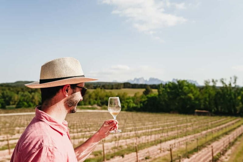 Barcelona: Montserrat Reduced Group & Optional Wine Tour - The Breakdown of the Itinerary