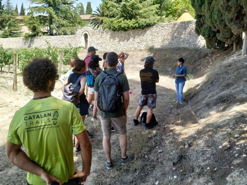 barcelona-montserrtat-hike-and-winery-tour-with-tasting