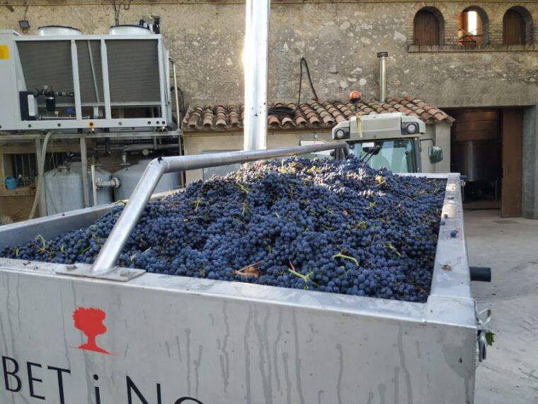 barcelona-montserrtat-hike-and-winery-tour-with-tasting