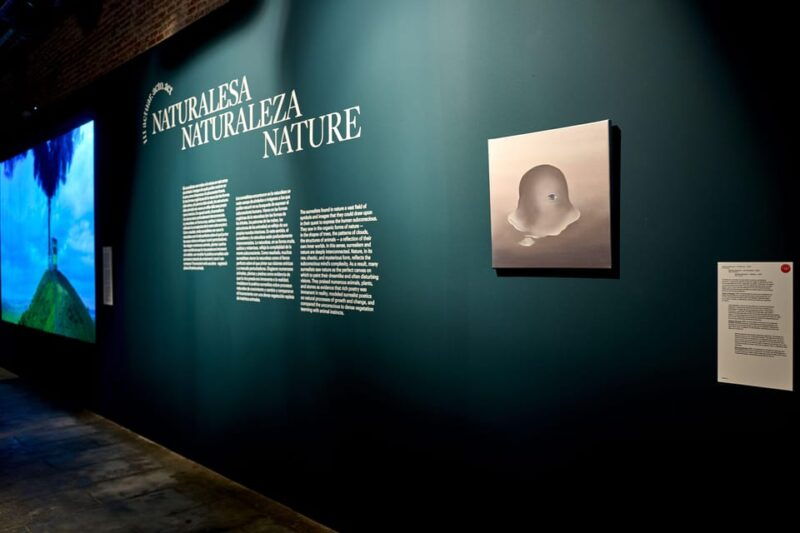 barcelona-museum-nou-sur-play-exhibition-ticket