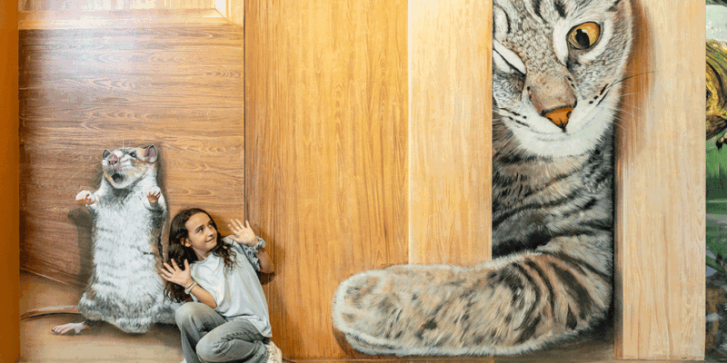 barcelona-museum-of-illusions-entry-ticket