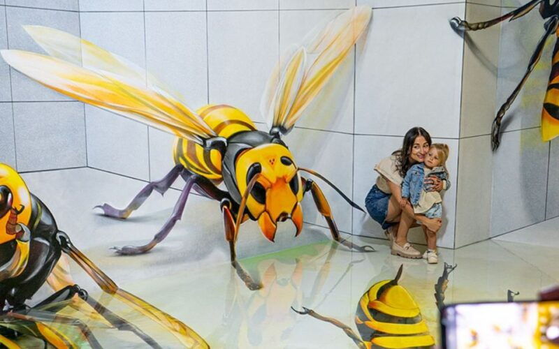 barcelona-museum-of-illusions-entry-ticket