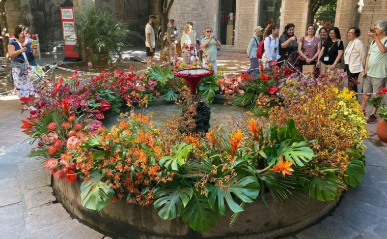 barcelona-old-town-tour-with-optional-flamenco-show-2