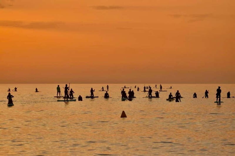 Barcelona: Paddleboard at sunrise. Inc.: teacher, photos/videos, material, equipment. - Key Points