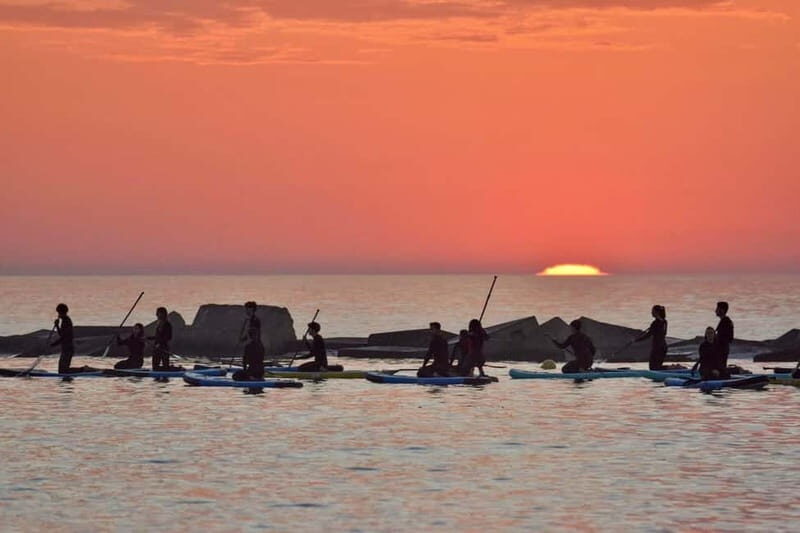 Barcelona: Paddleboard at sunrise. Inc.: teacher, photos/videos, material, equipment. - What the Tour Includes and Its Value