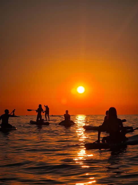 Barcelona: Paddleboard at sunrise. Inc.: teacher, photos/videos, material, equipment. - Pricing and Overall Value