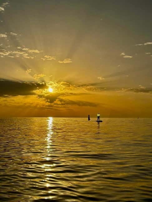 Barcelona: Paddleboarding at Sunrise. Includes: instructor, photos, equipment - Sunrise Paddleboarding in Barcelona: A Unique Sea Adventure
