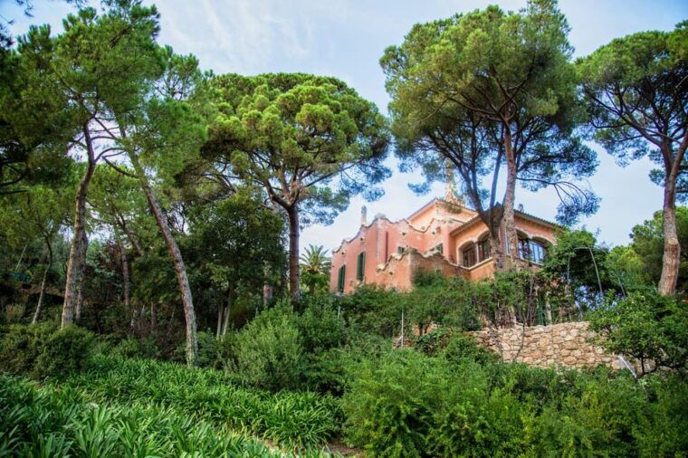 barcelona-park-guell-and-gaudi-house-museum-entry-ticket