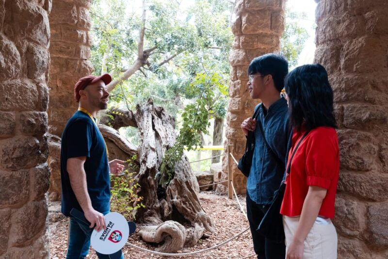 barcelona-park-guell-guided-tour-with-fast-track-access