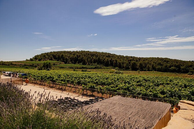 barcelona-penedes-horseback-riding-with-wine-tasting-and-tapas