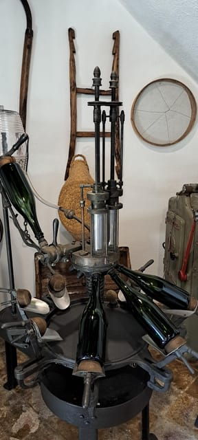 barcelona-penedes-vineyard-horseback-ride-with-wine-tasting