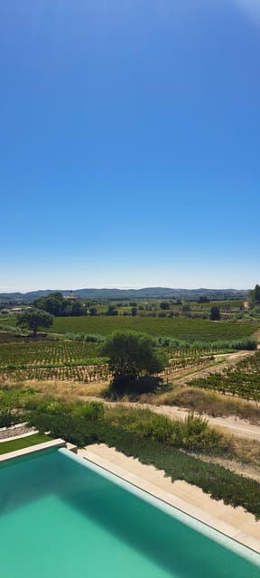 barcelona-penedes-vineyard-horseback-ride-with-wine-tasting