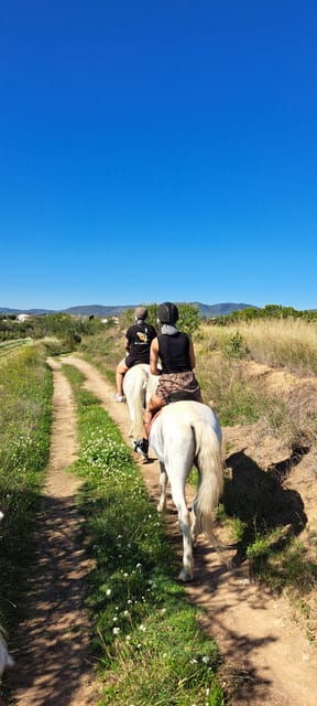 barcelona-penedes-vineyard-horseback-ride-with-wine-tasting