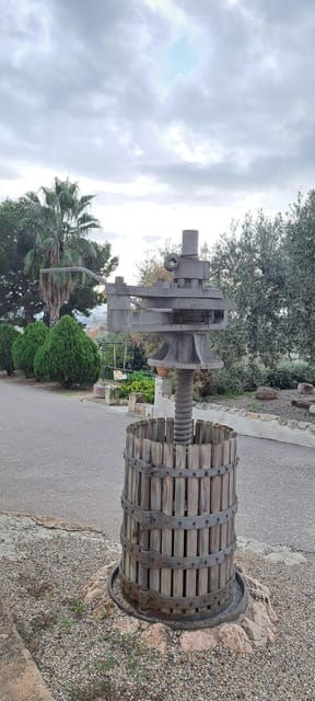 barcelona-penedes-vineyard-horseback-ride-with-wine-tasting