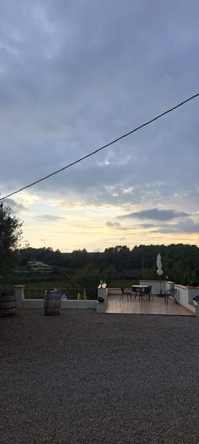 barcelona-penedes-vineyard-horseback-ride-with-wine-tasting