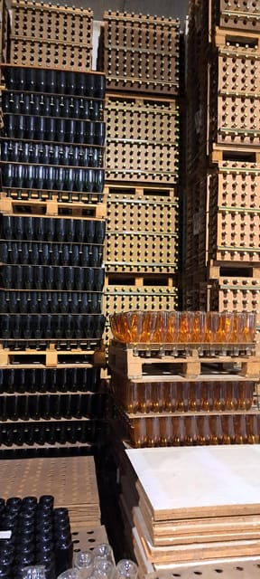 barcelona-penedes-vineyard-horseback-ride-with-wine-tasting