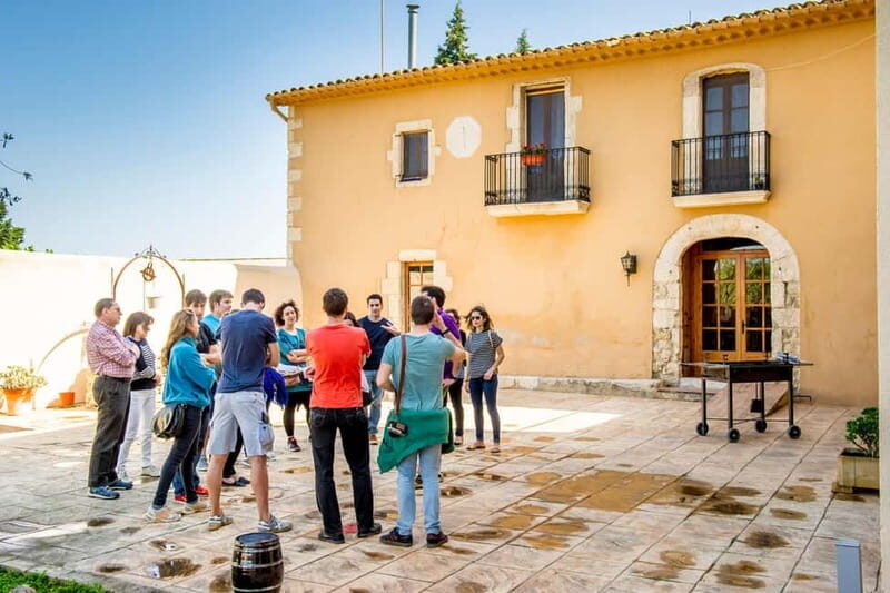Barcelona: Penedès Wine and Cava Tour with Workshop - A Closer Look at the Penedès Wine and Cava Tour