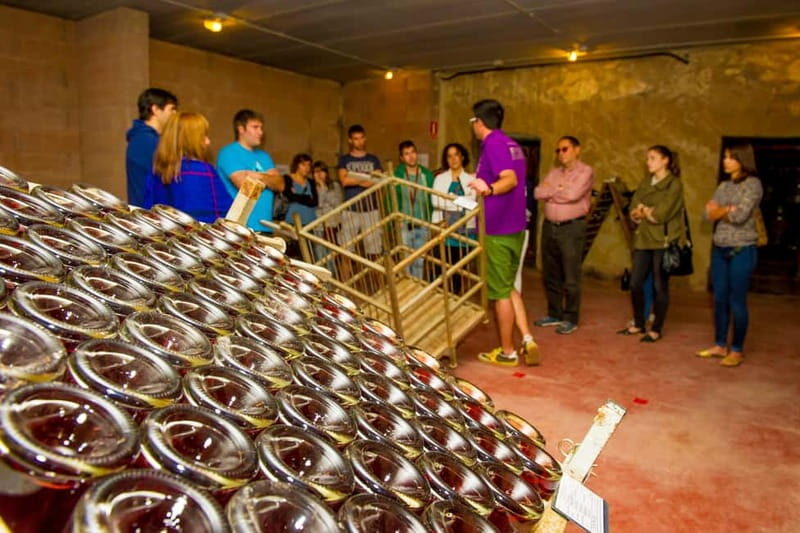 Barcelona: Penedès Wine and Cava Tour with Workshop - Who Should Consider This Tour?