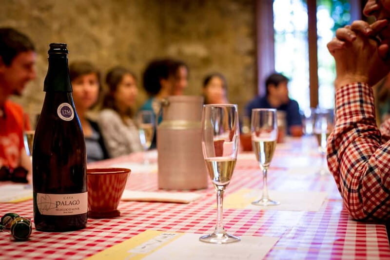 Barcelona: Penedès Wine and Cava Tour with Workshop - FAQ