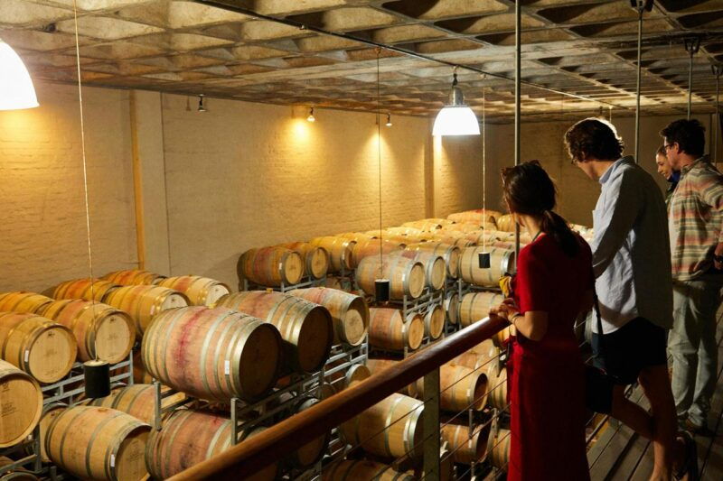 barcelona-penedes-wine-tasting-cellar-visit-private-car