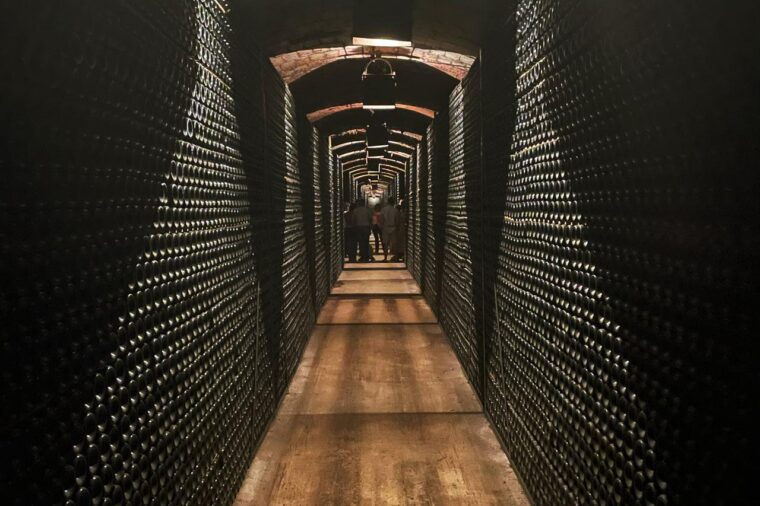 barcelona-penedes-wine-tasting-cellar-visit-private-car