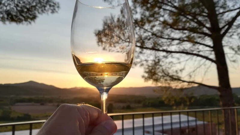 Barcelona: Penedes Wine Tasting Tour with Lunch - Who Will Love This Tour?