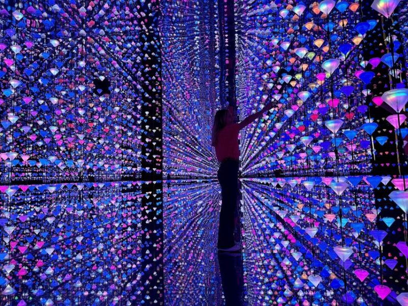 barcelona-picasso-museum-tour-with-moco-museum-ticket