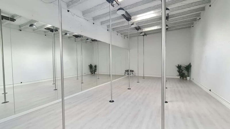 Barcelona: Pole Dancing Class - Who Is It Best For?