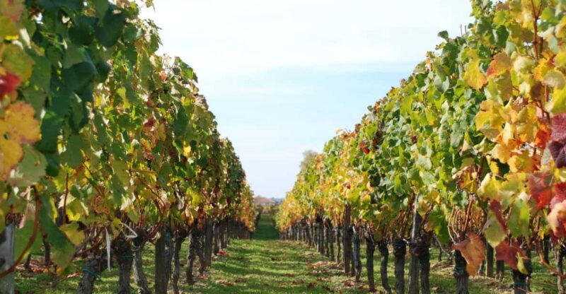 barcelona-private-e-bike-tour-and-wine-tasting