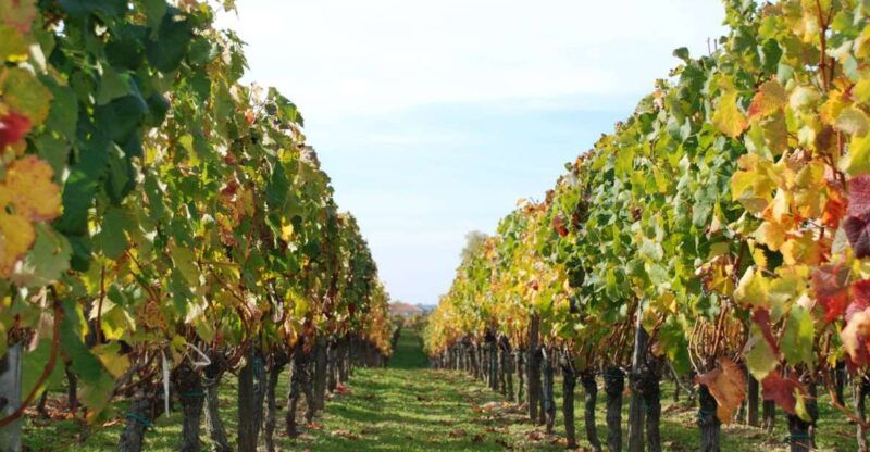 barcelona-private-e-bike-tour-and-wine-tasting