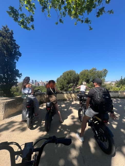 Barcelona: Private E-Fatbike Tour with Local Guide - Is it Worth the Price?