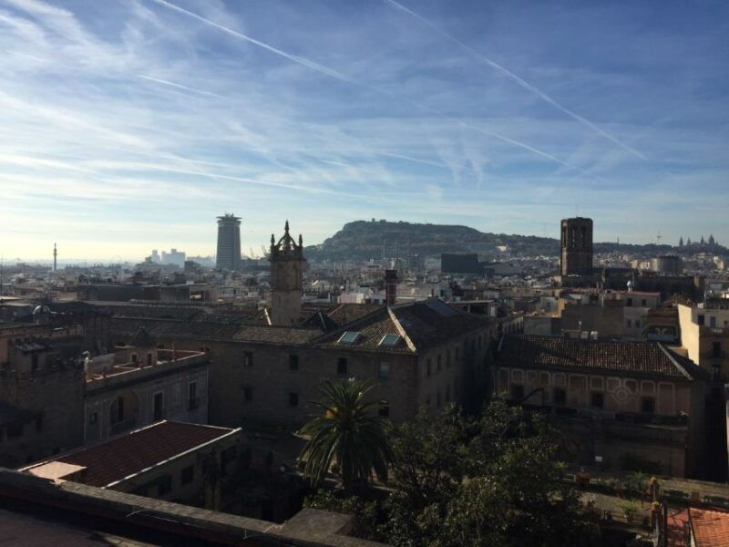 barcelona-private-gothic-quarter-eixample-highlights-tour