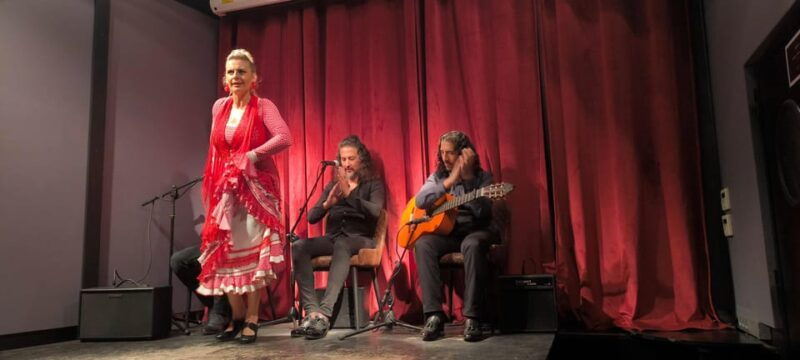 barcelona-private-gothic-quarter-tour-with-flamenco-show-2