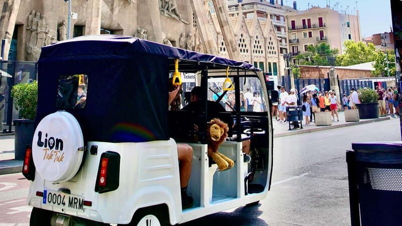 Barcelona: Private Hop-On Hop-Off Lion Tuk Tuk Tour - Exploring Barcelona in a Tuk Tuk: What You Can Expect