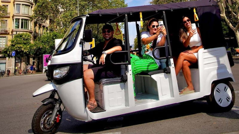 Barcelona: Private Hop-On Hop-Off Lion Tuk Tuk Tour - Who Should Consider This Tour?