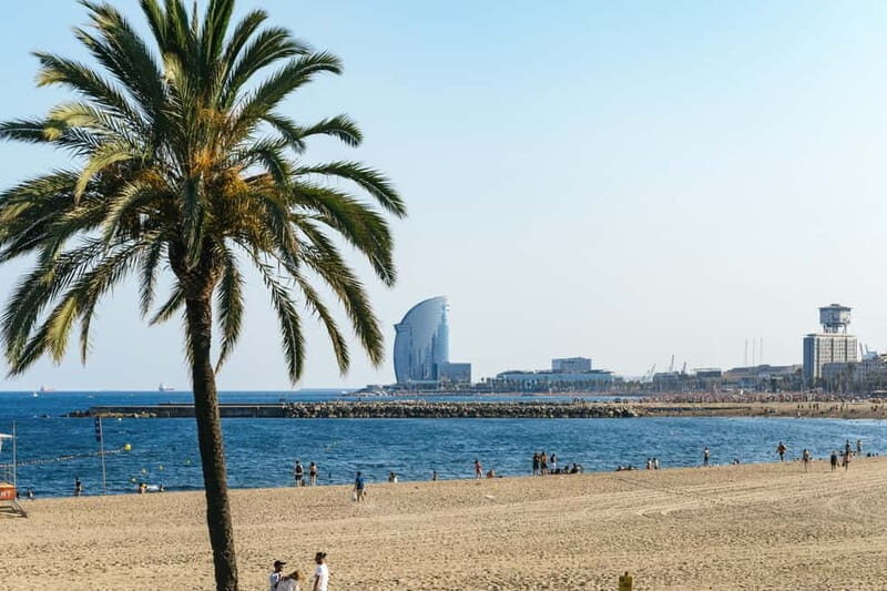 Barcelona: Sagrada Familia and City Tour by Bike or eBike - Final Thoughts