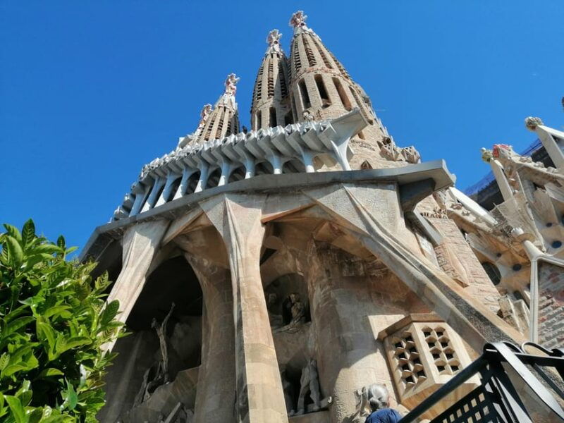 barcelona-sagrada-familia-and-park-guell-guided-tour-2