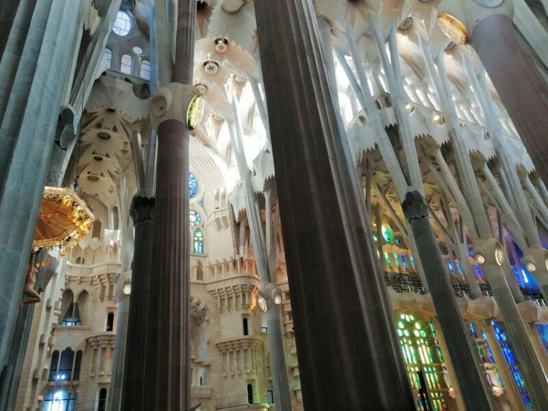 barcelona-sagrada-familia-and-park-guell-guided-tour-2