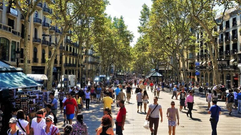 barcelona-sagrada-familia-and-park-guell-with-hotel-pickup