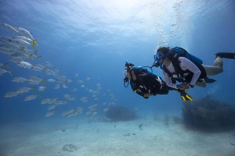 BARCELONA: SCUBA DIVING INITIATION - Dive in and experience underwater adventures - 2 hours - Why This Tour Stands Out